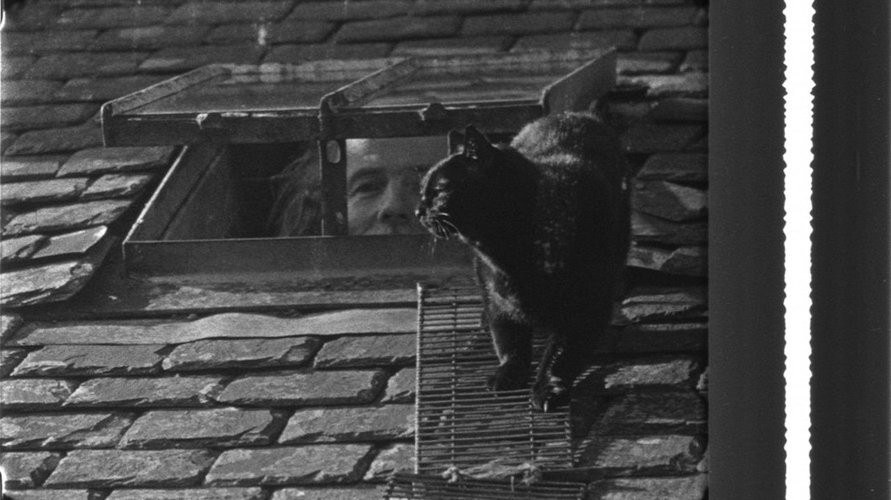 This Is My Land backdrop