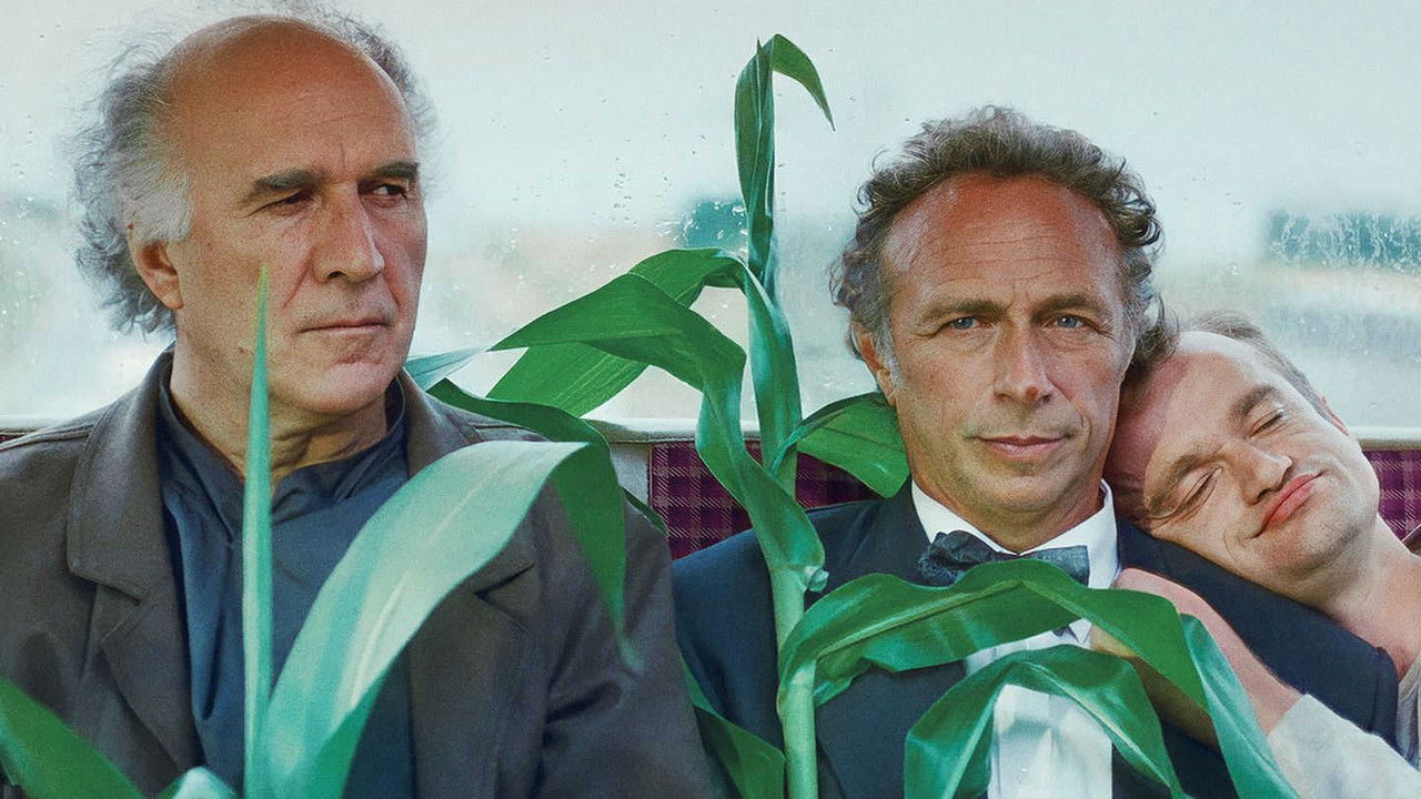 Loonies at Large backdrop