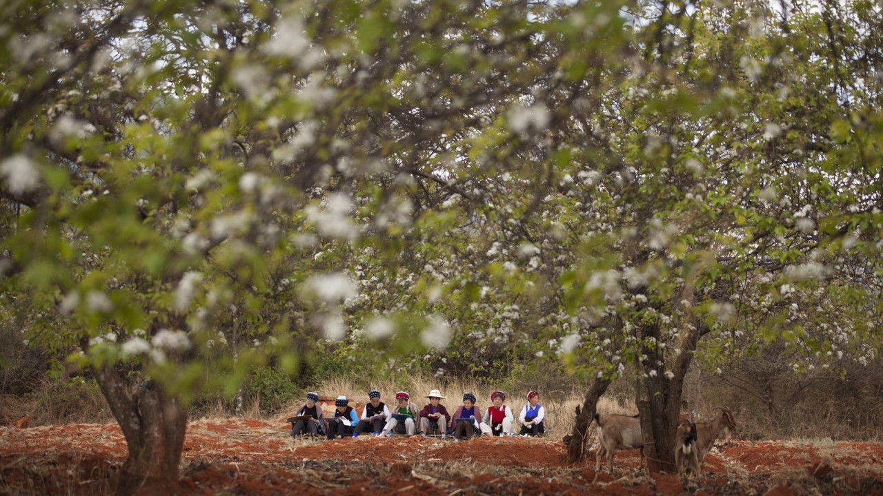 Up the Mountain backdrop