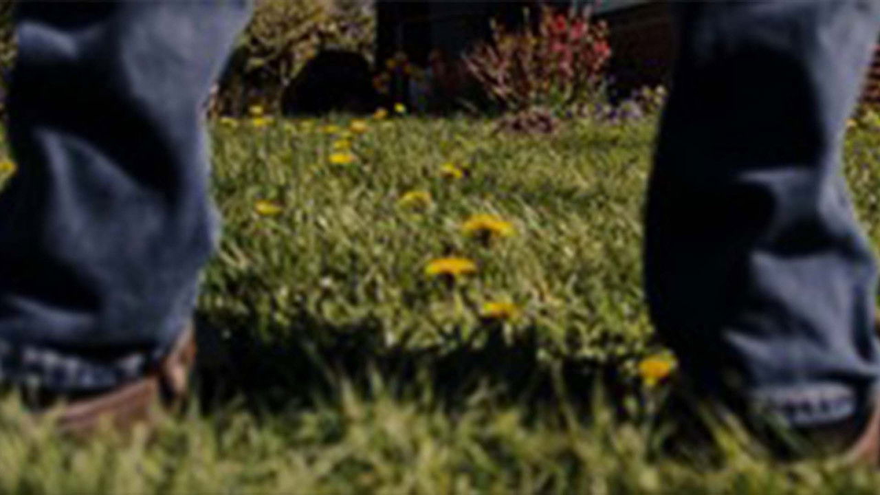 Will vs. Wilderness backdrop