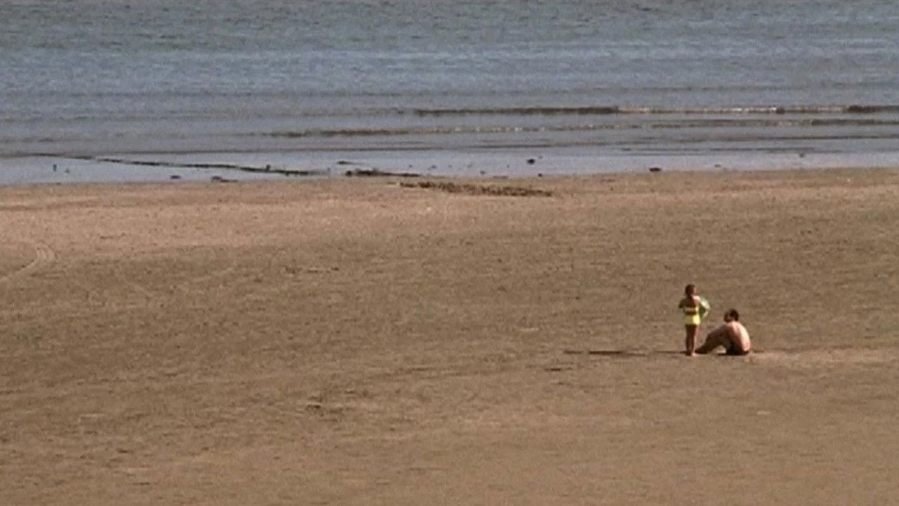 Peces Plátano backdrop