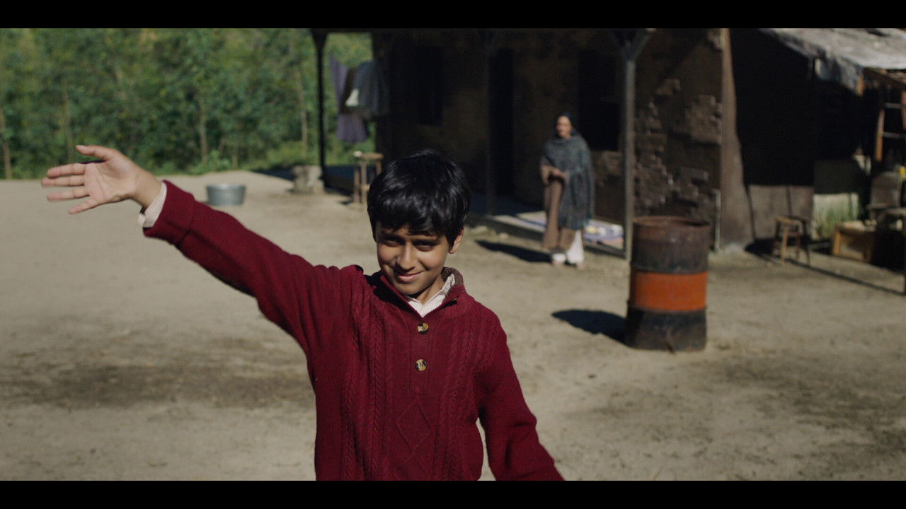 The Apple Picker's Son backdrop