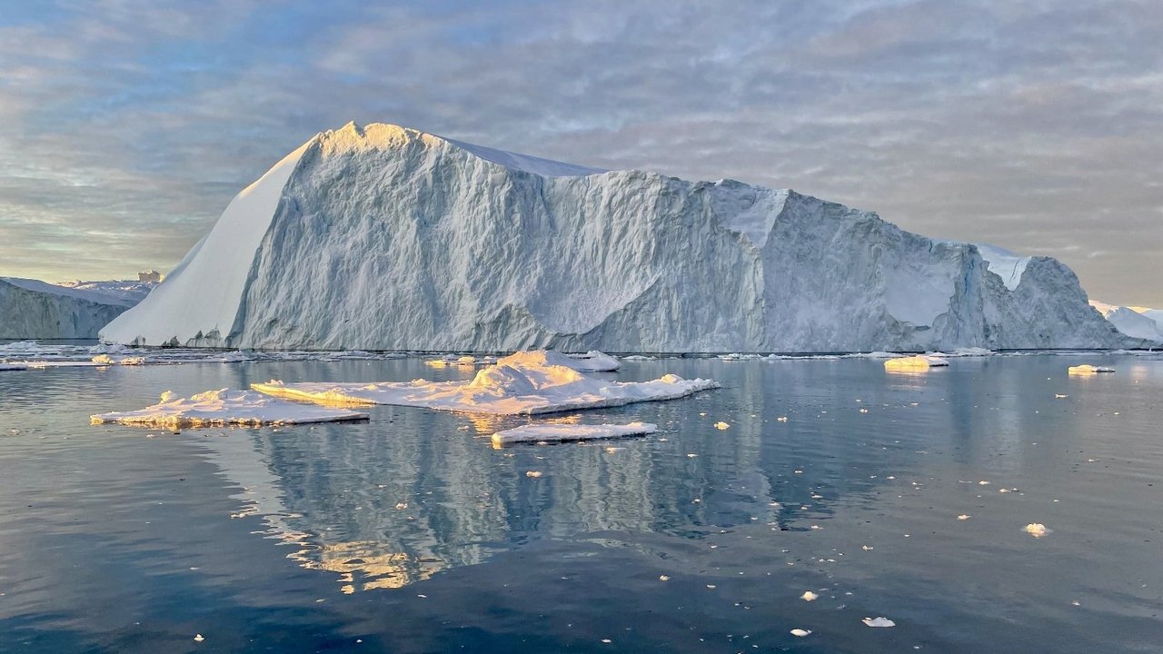 Mondes sauvages backdrop