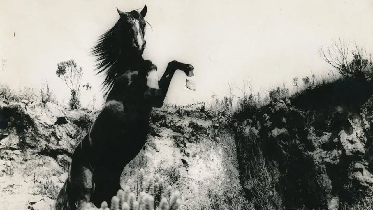 The Burning Body backdrop