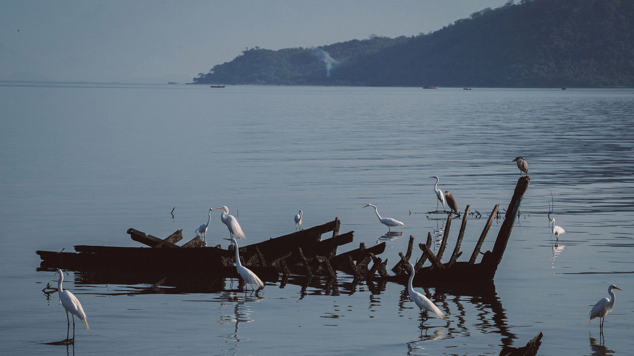 Antes do Último Adeus backdrop