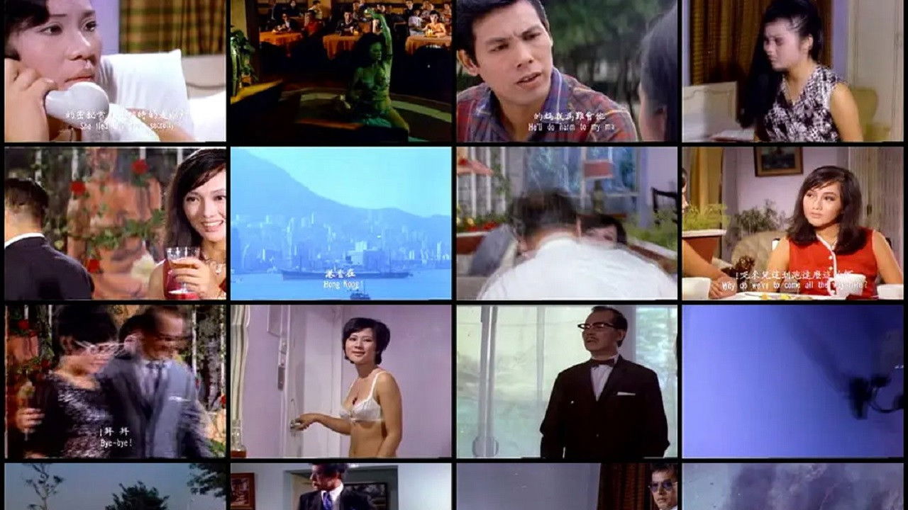 3 Pussycats backdrop