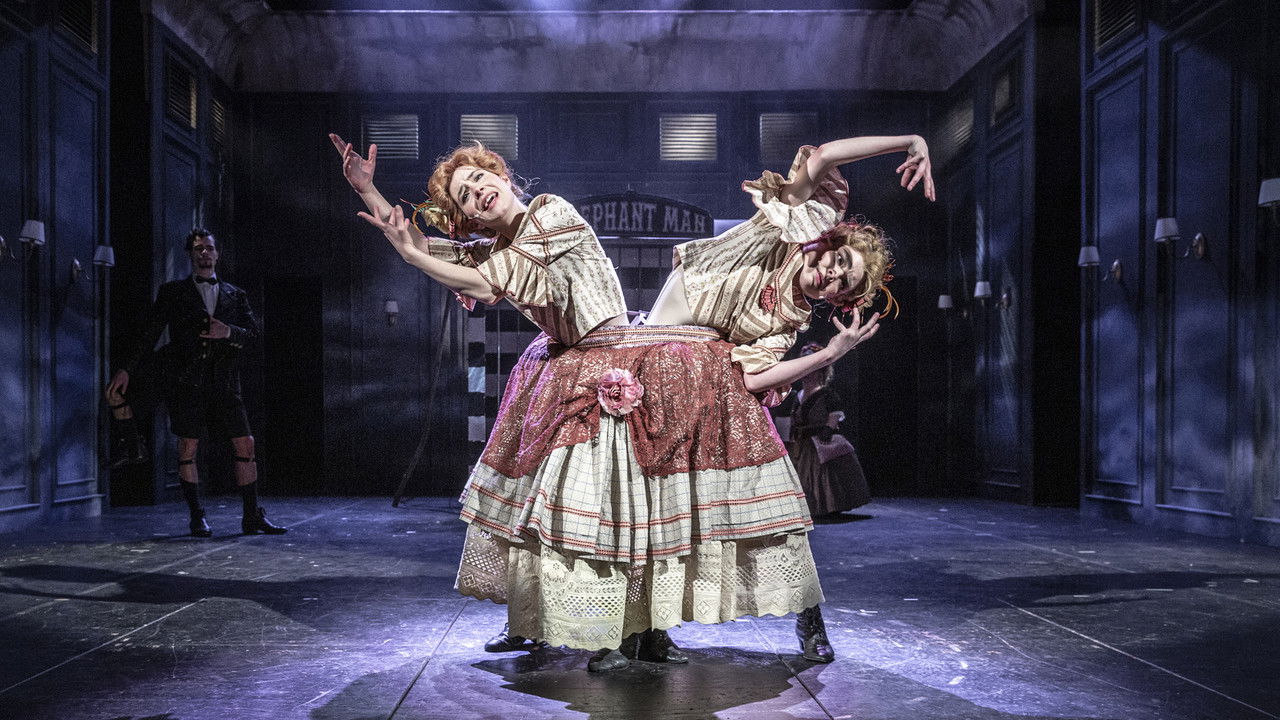 Elefantazie backdrop