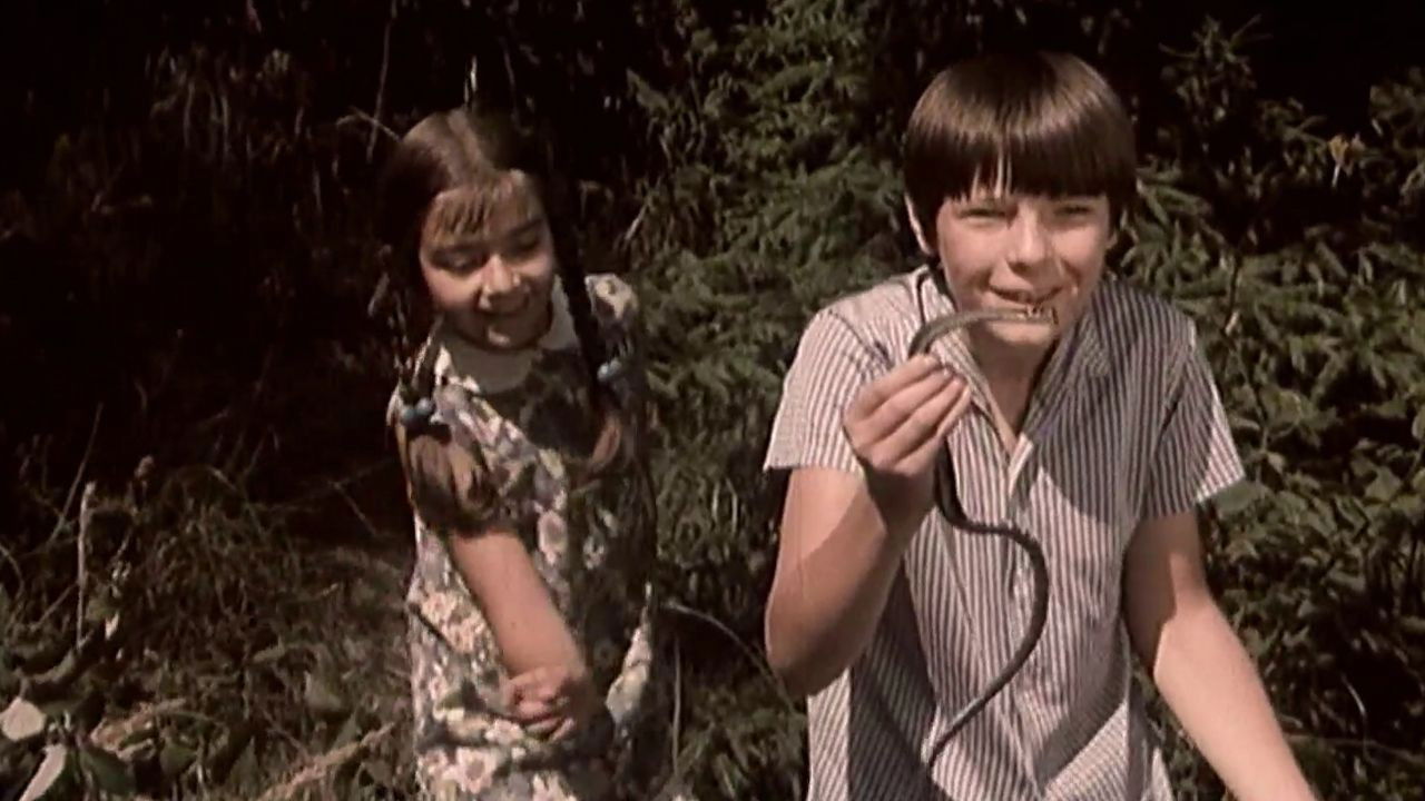 Vacations at Grandma's backdrop