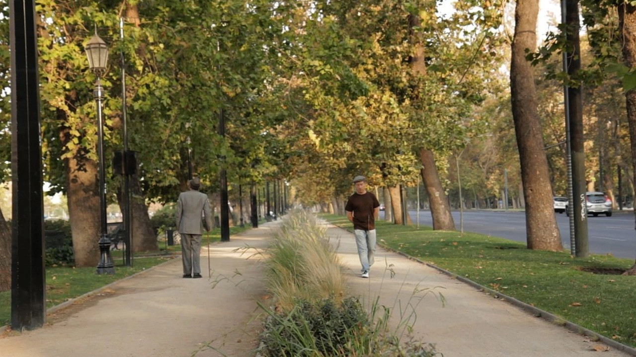 Shining Moon backdrop