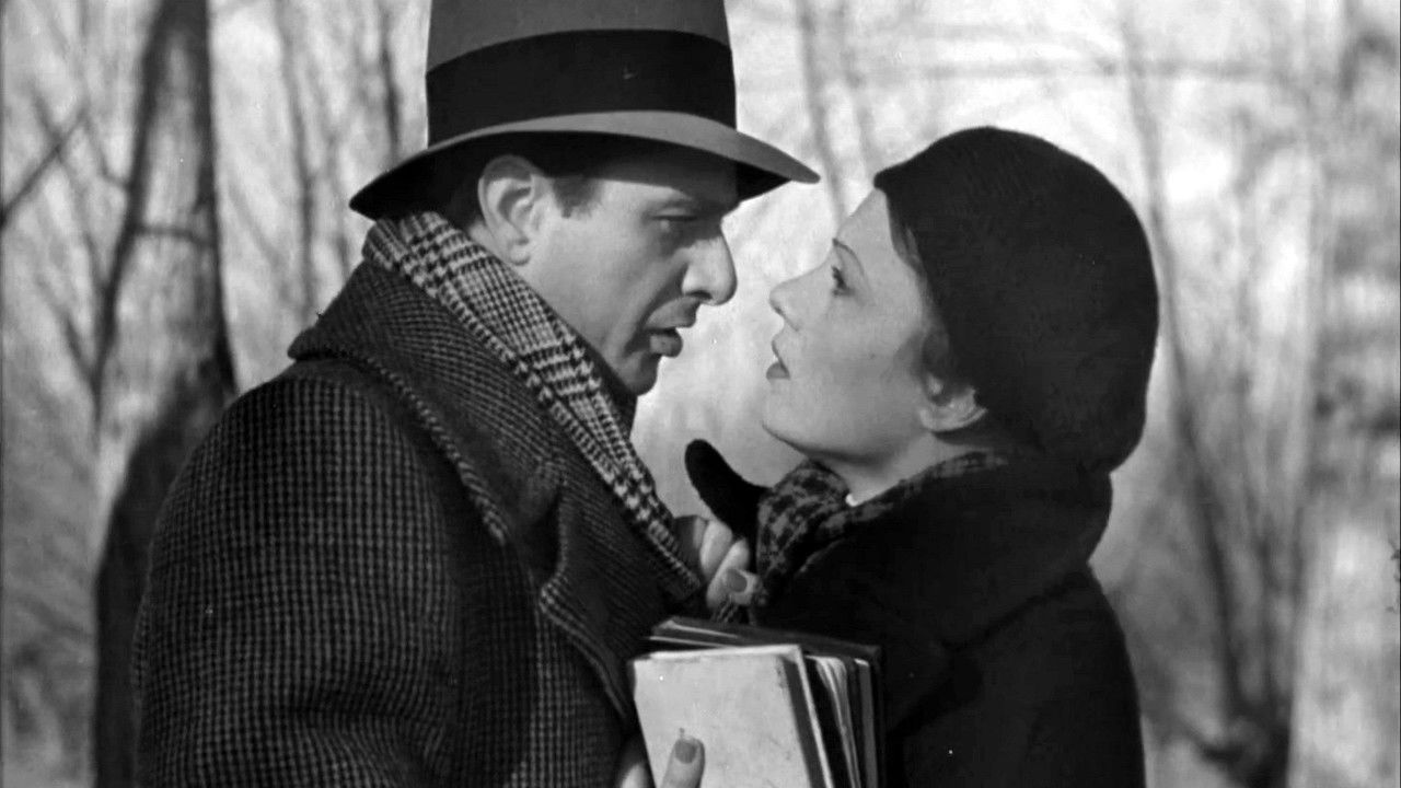 Like the Leaves backdrop