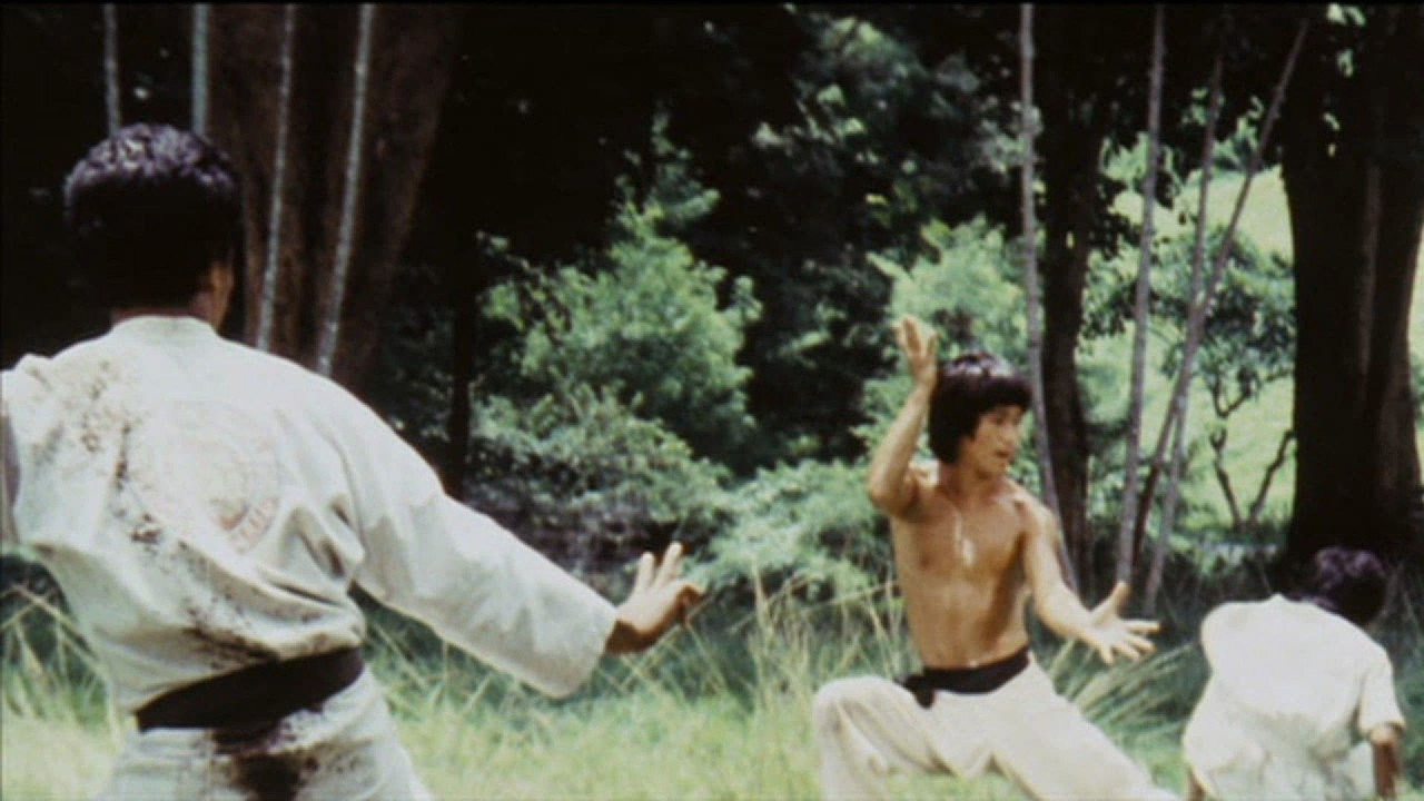 Bruce's Secret Kung Fu backdrop