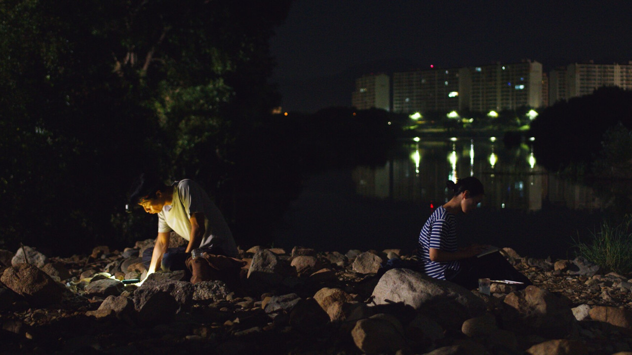 Stars and Sand backdrop
