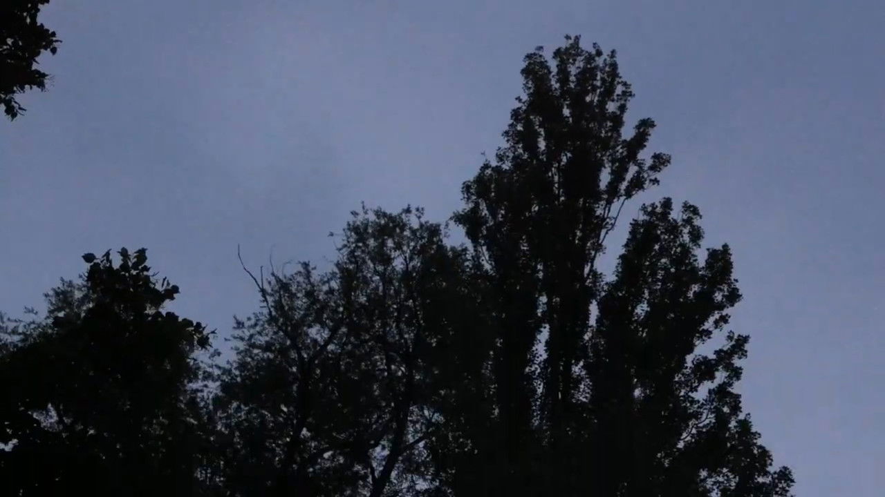 Newton's cradle backdrop