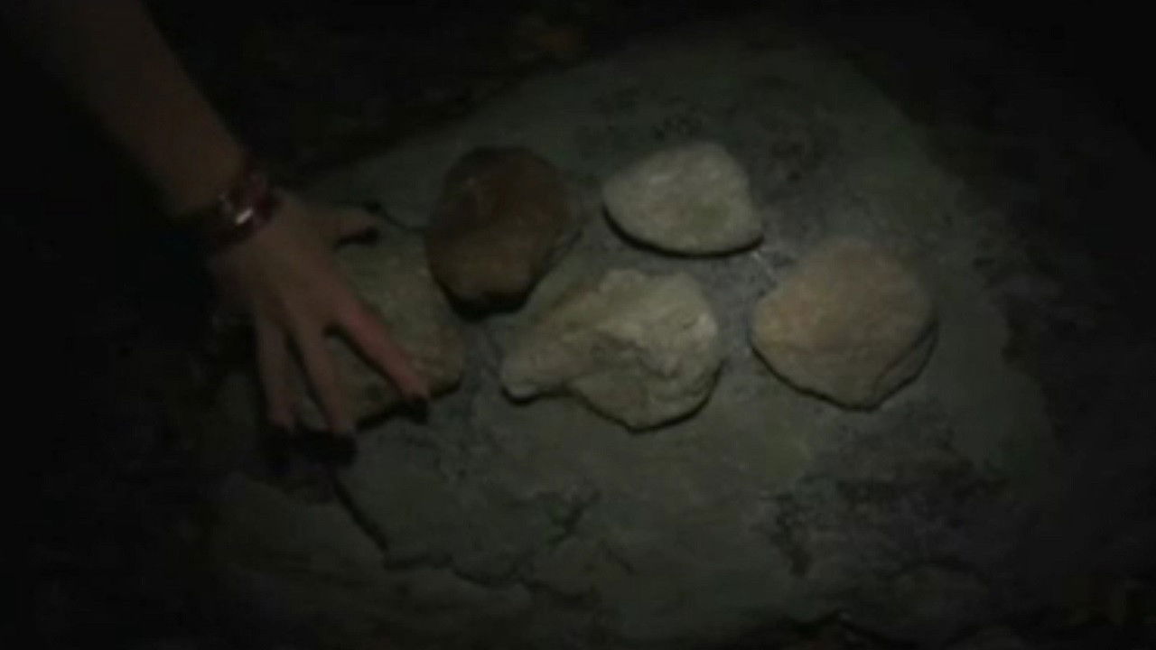 Under the Ravens Wing backdrop