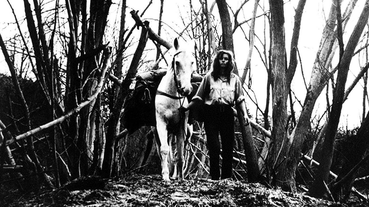 The End of August at the Hotel Ozone backdrop