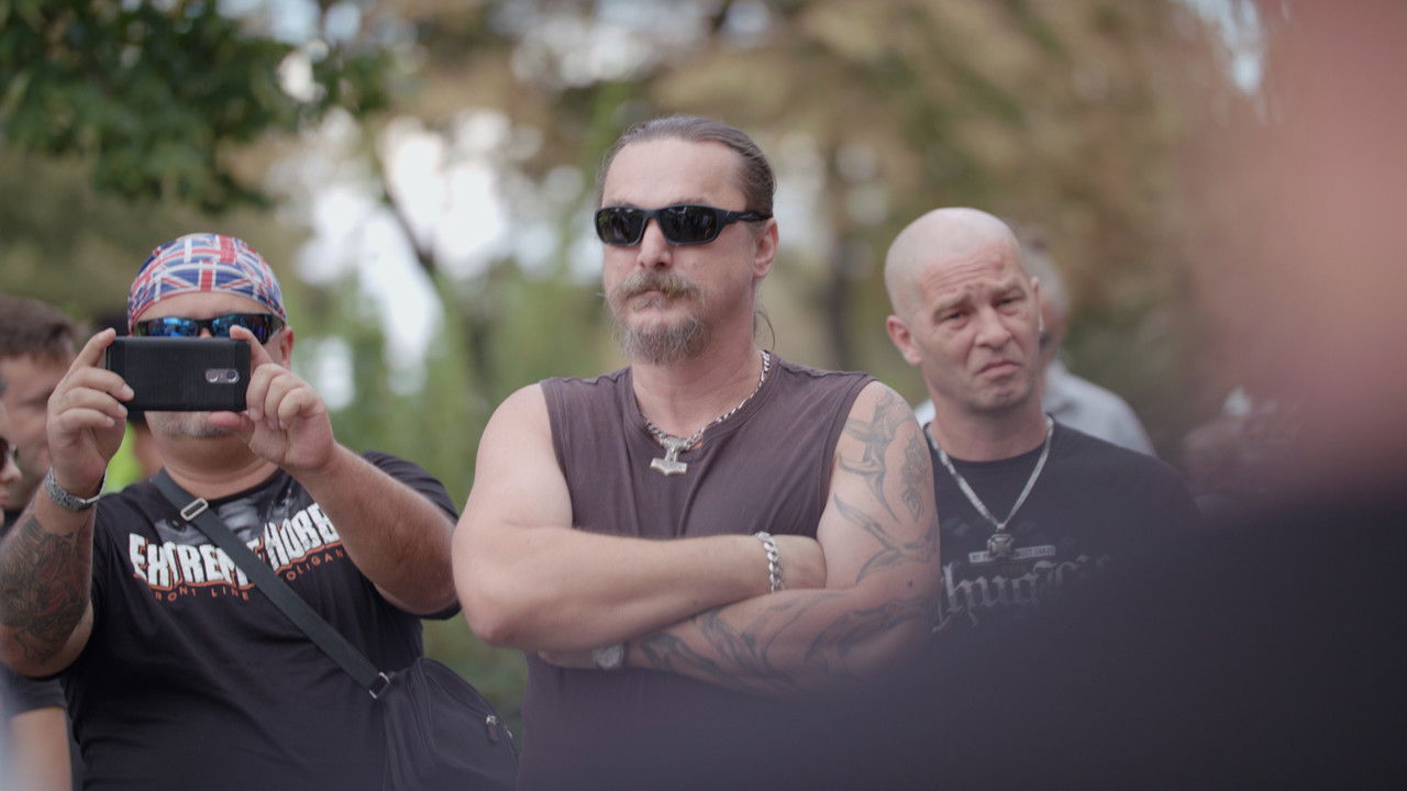 The Law of Love backdrop