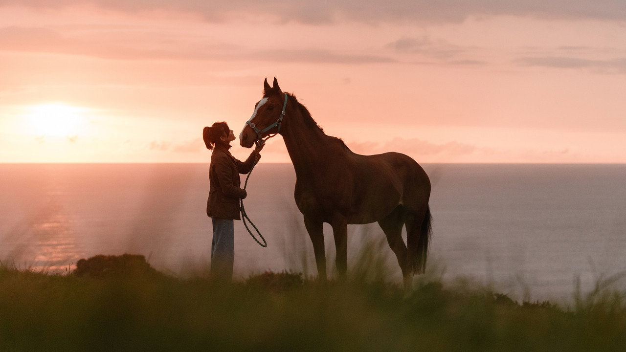 Rosamunde Pilcher: Jahrestag backdrop