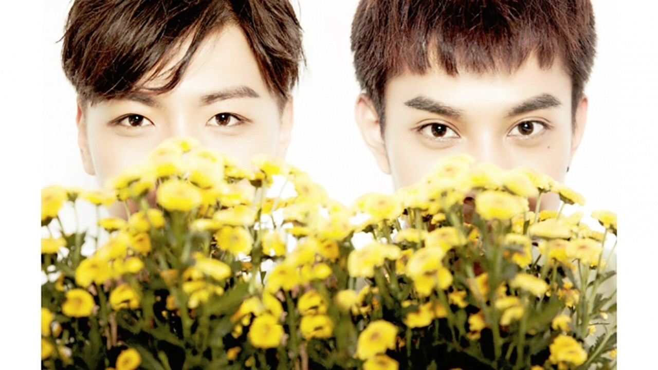 This Summer backdrop