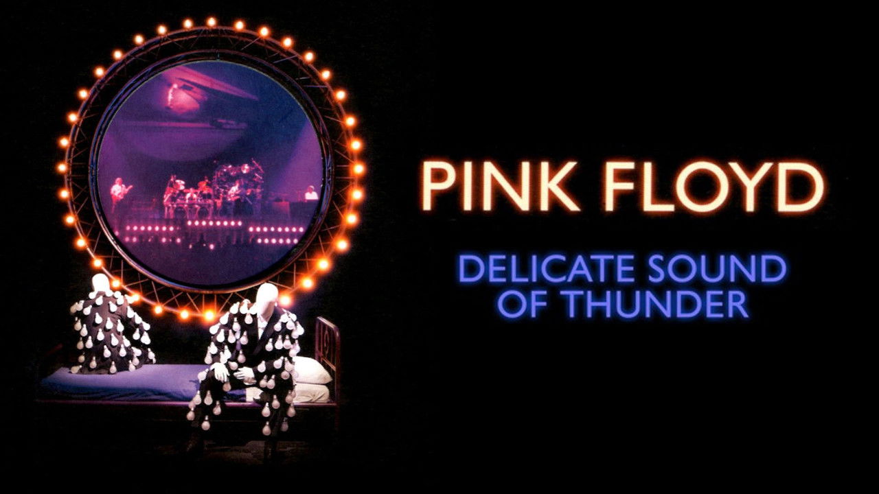 Pink Floyd: The Later Years, Vol 2 - Delicate Sound of Thunder backdrop