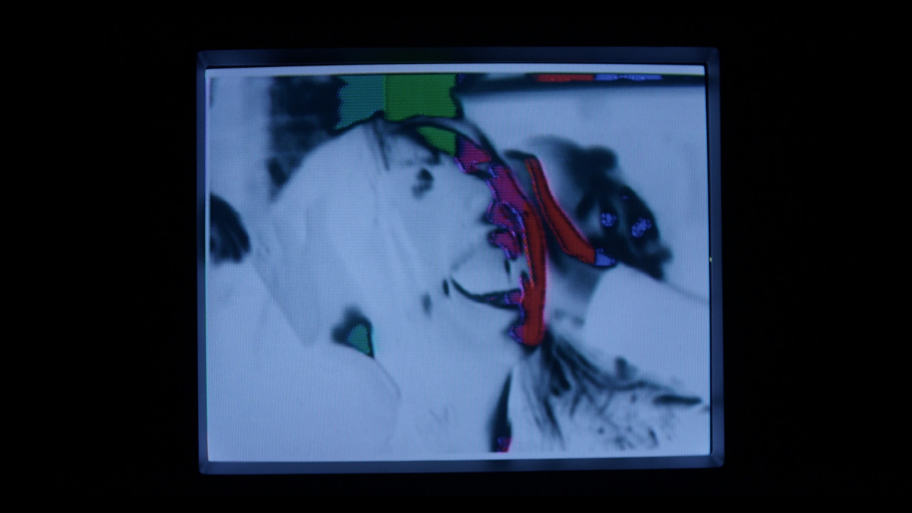 THE GREY COLLAR backdrop