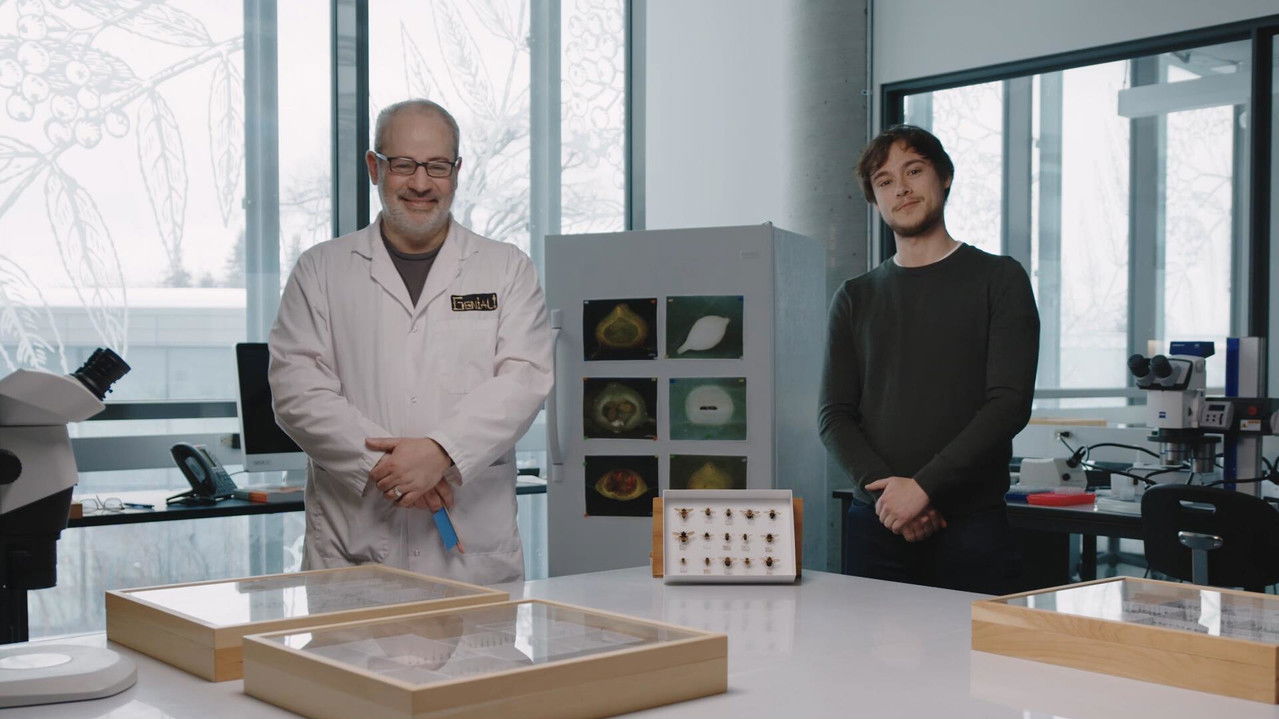 Ça grouille à l'orchestre : Génial! backdrop