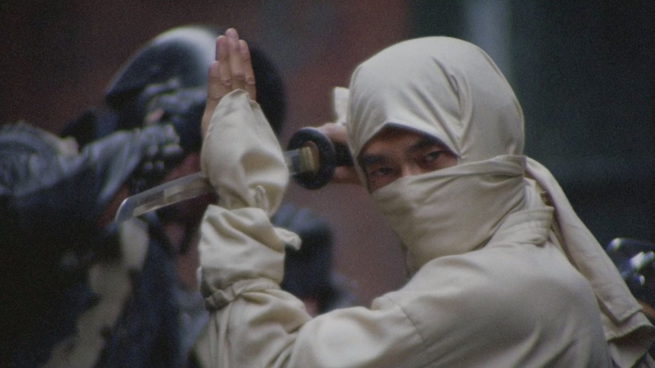 New York Ninja backdrop