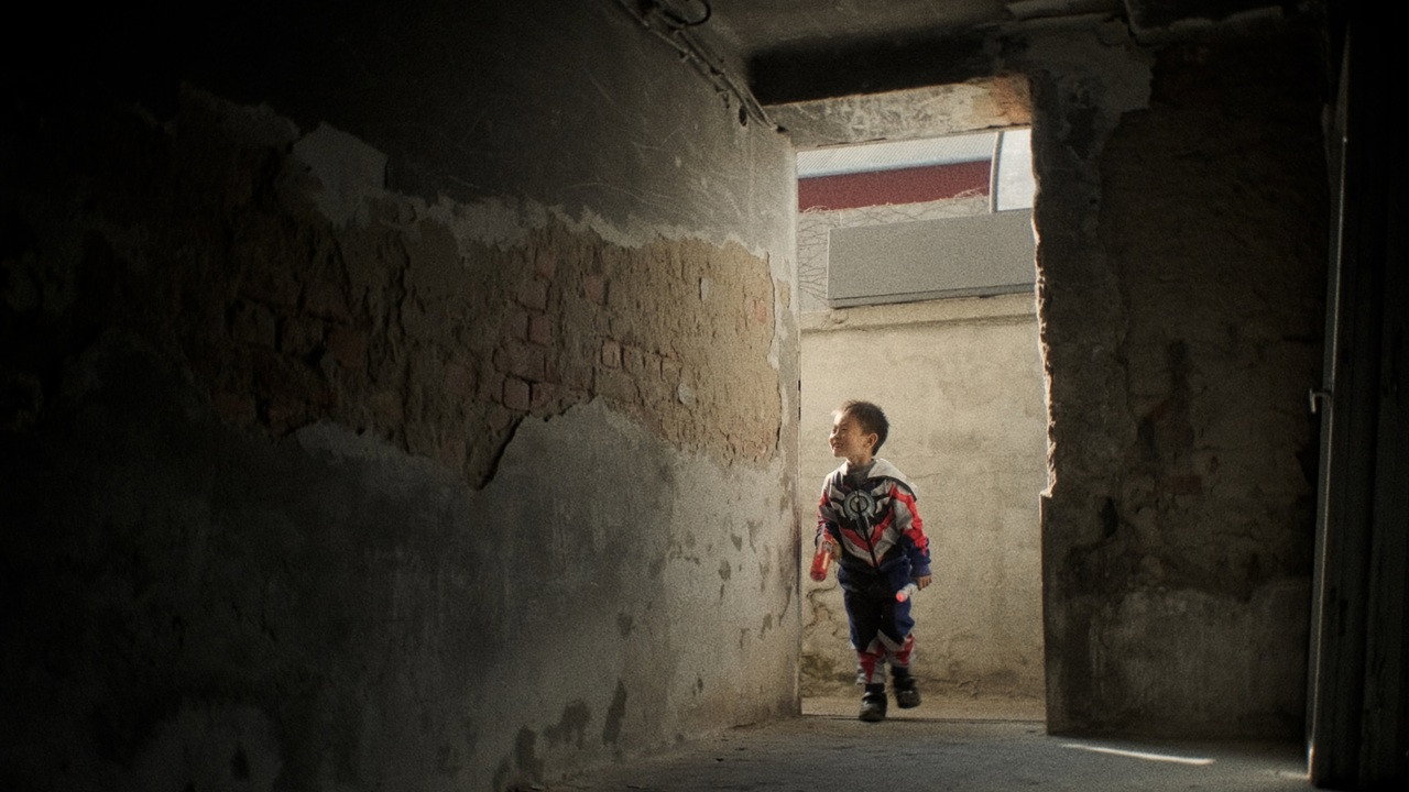 Cat Rong Po backdrop