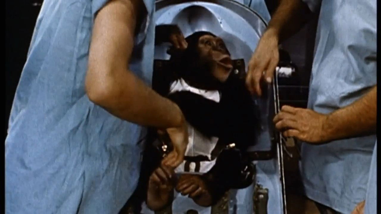 Ham: A Chimp into Space backdrop