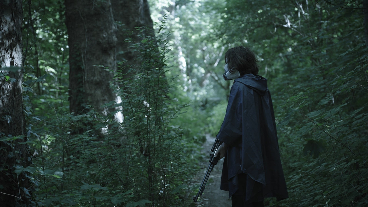 Don't Look Back backdrop