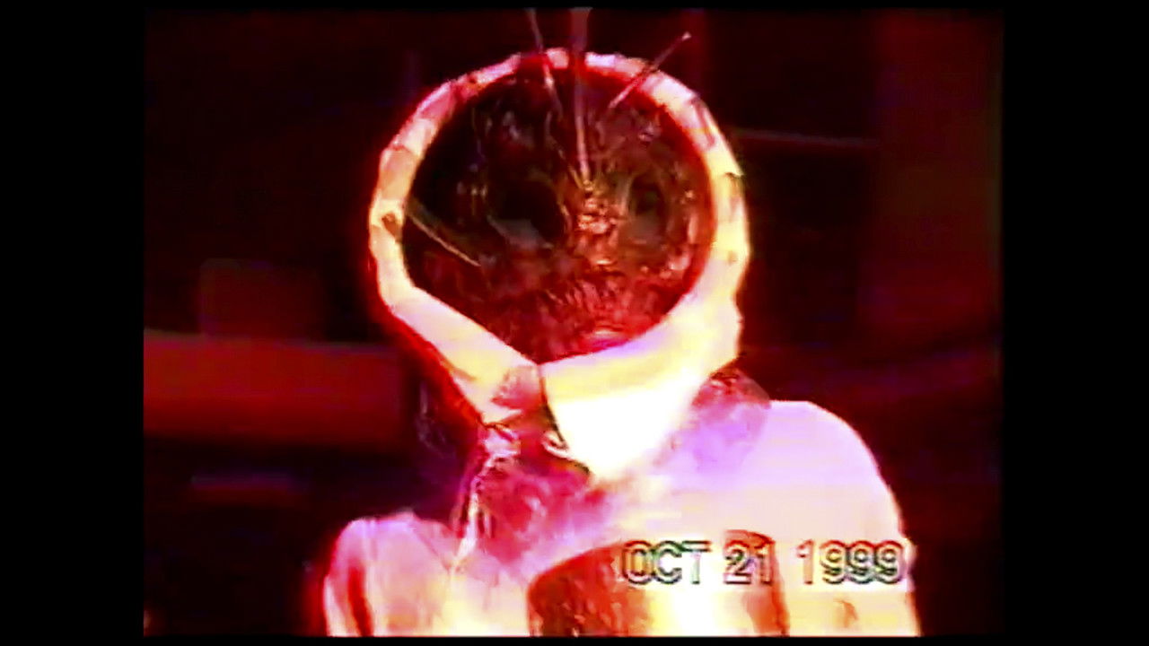 Underground Morphology backdrop