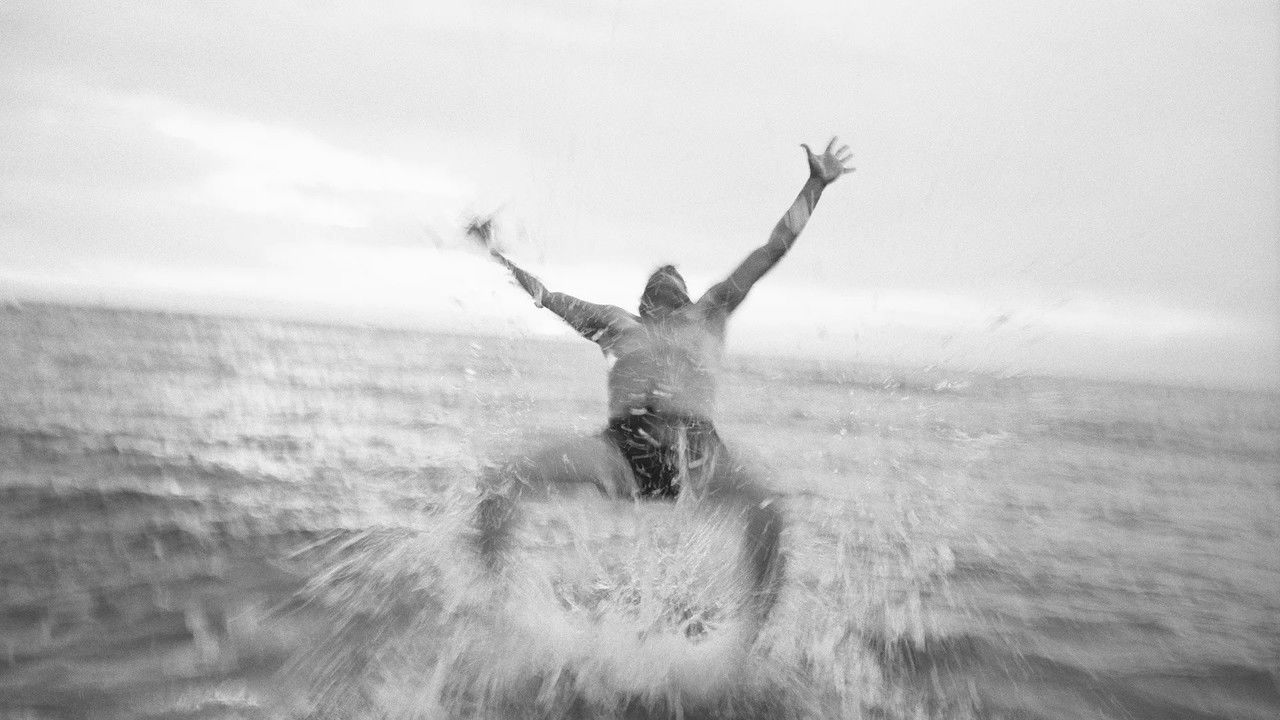 VOS... Alleen Luc De Vos blijft bestaan backdrop