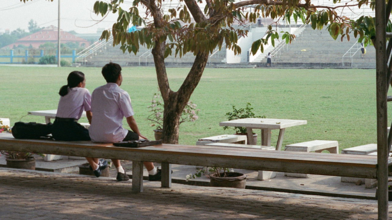 Nice to Meet You backdrop