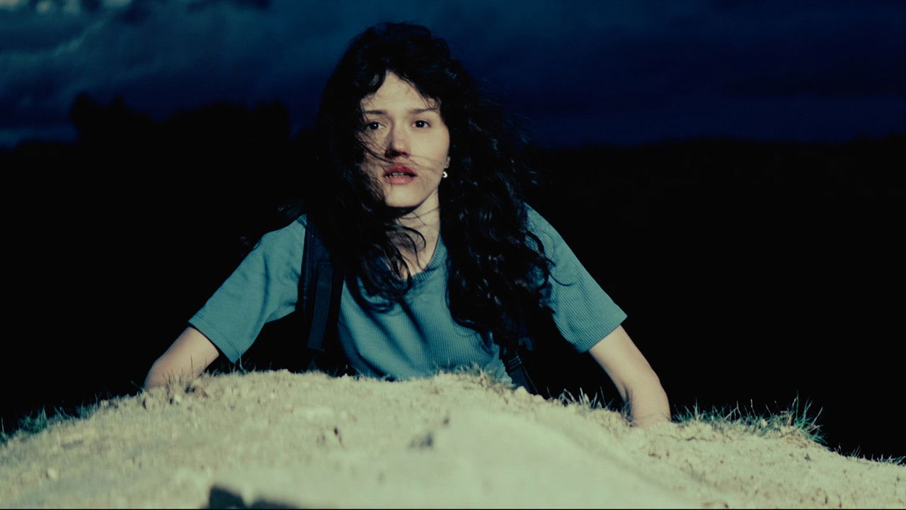 Stella Anyways backdrop