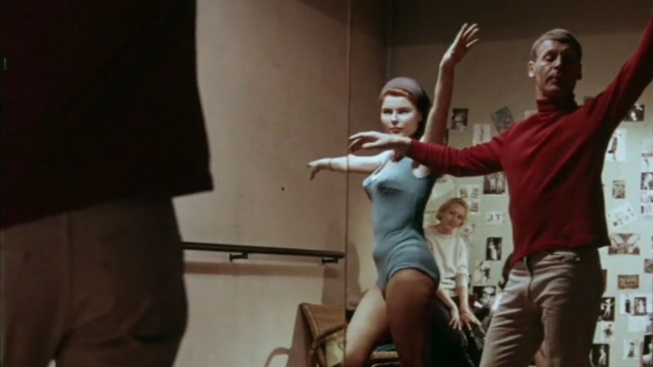 Sex in the Spotlight backdrop