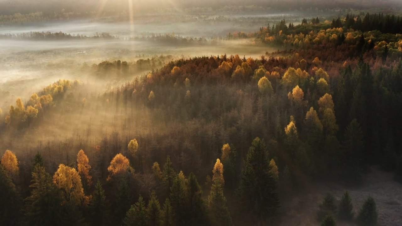 Wild Romania backdrop