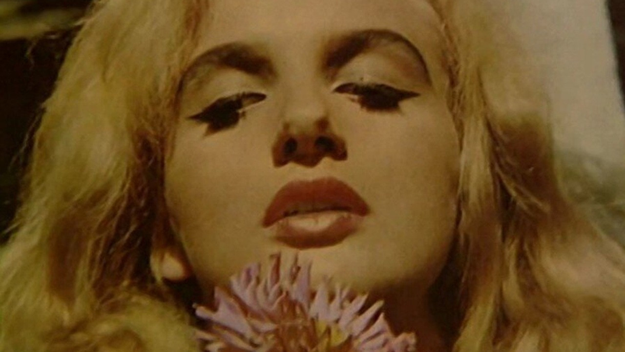 Didn't Do It For Love backdrop