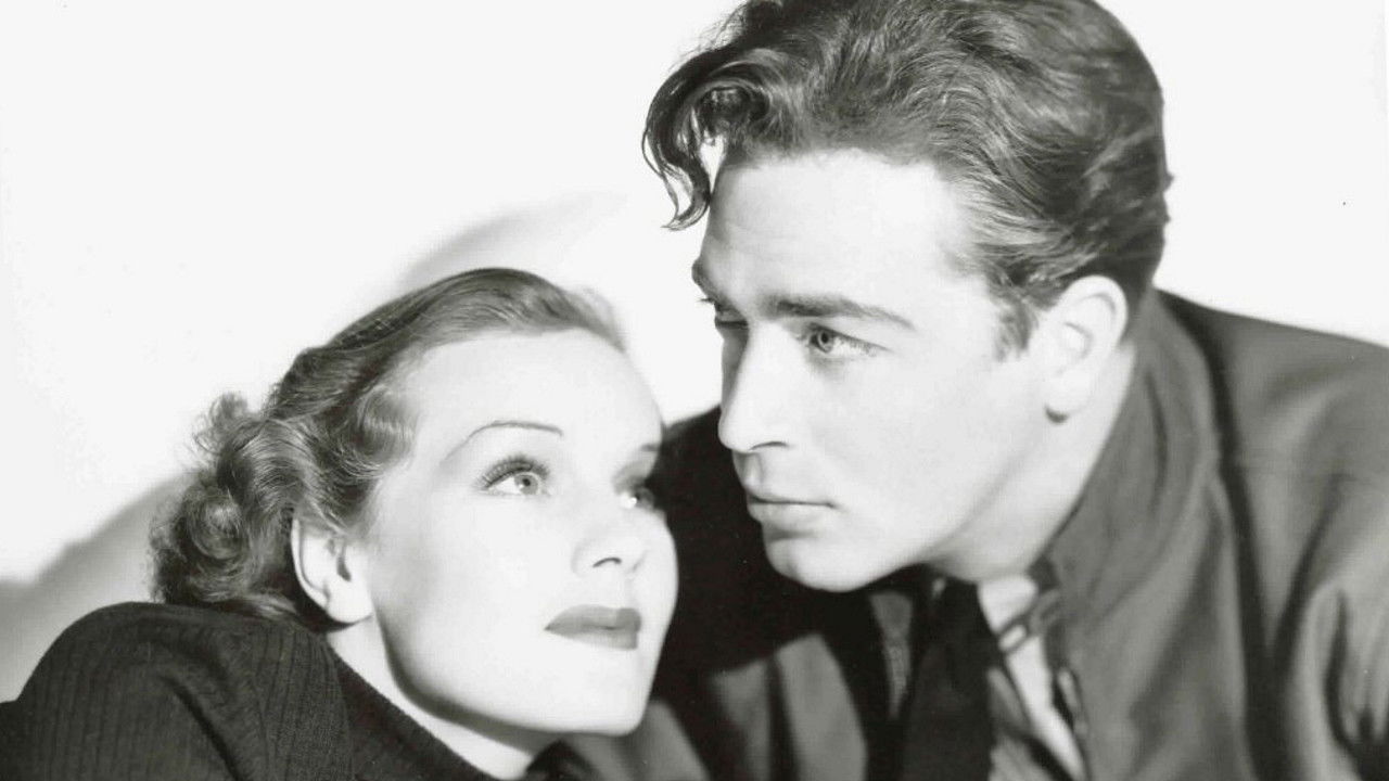 Border Flight backdrop