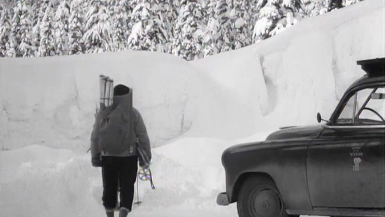 White Peril backdrop