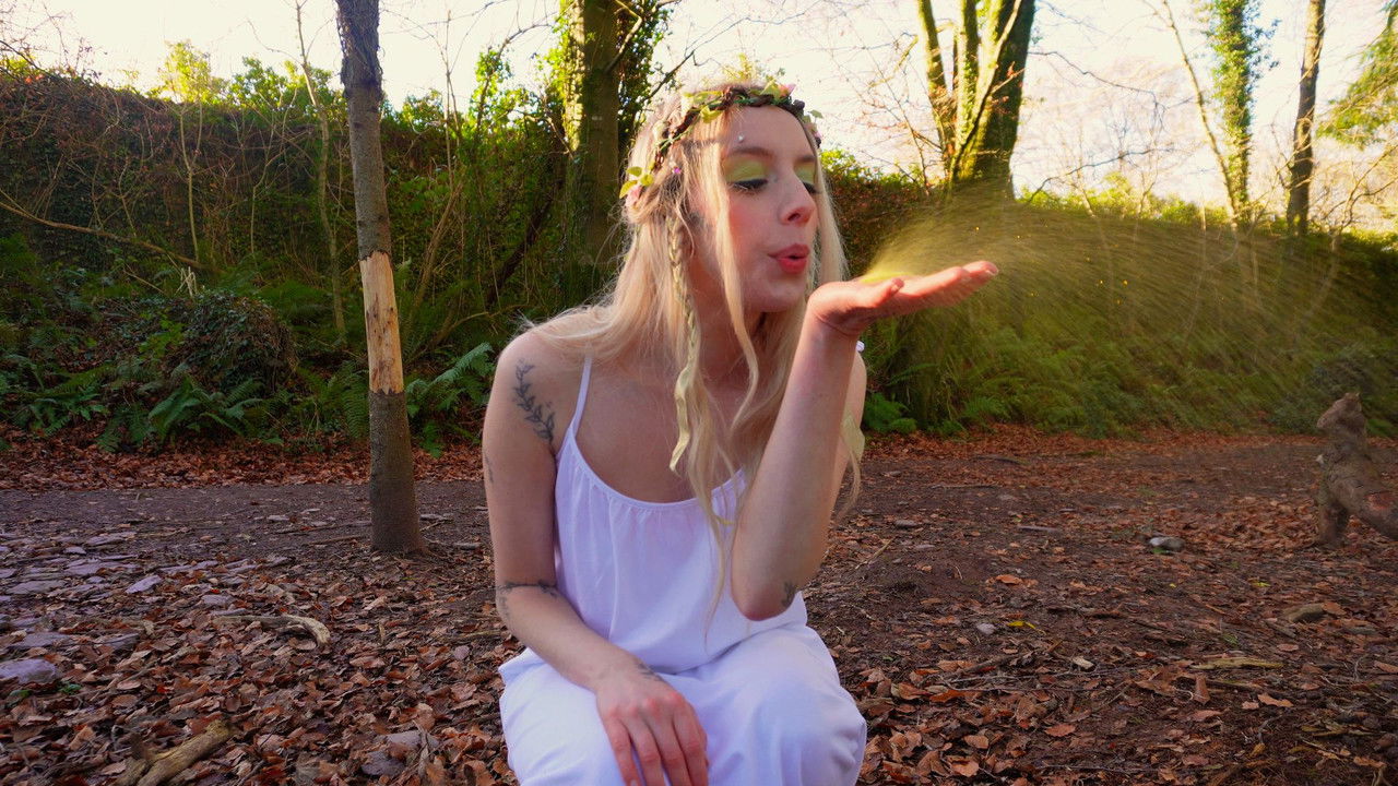 Boopie's Quest backdrop