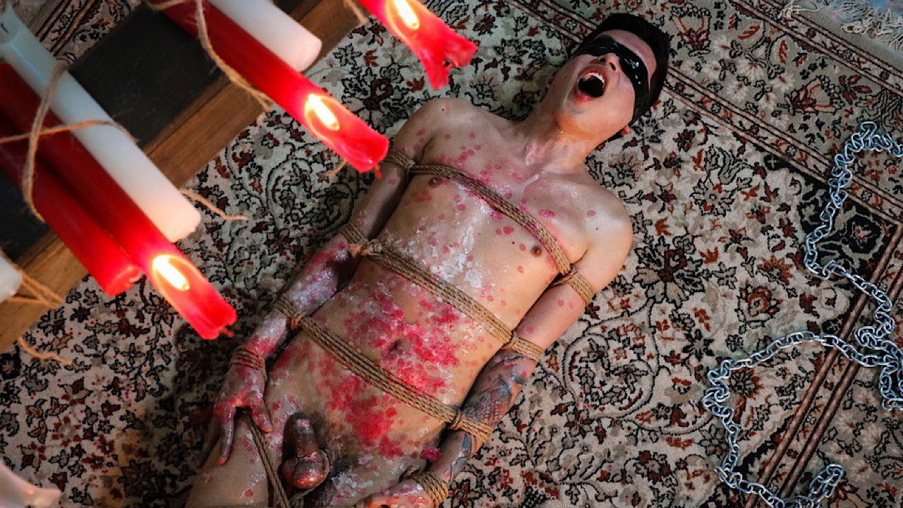 Wet Dream Academy backdrop