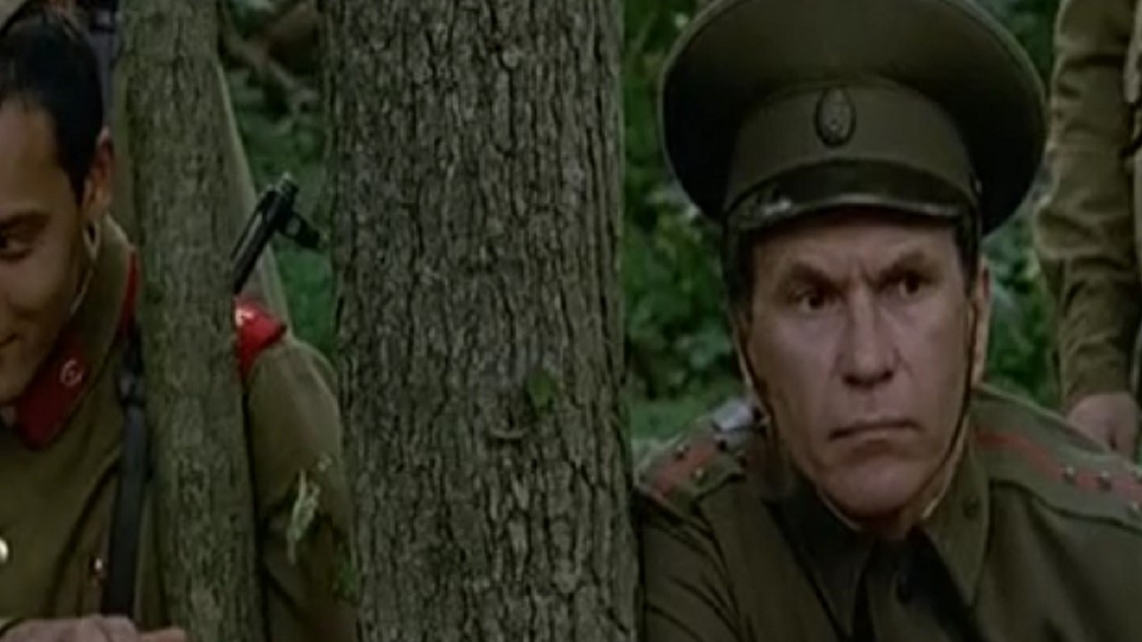 Taiga Novel backdrop