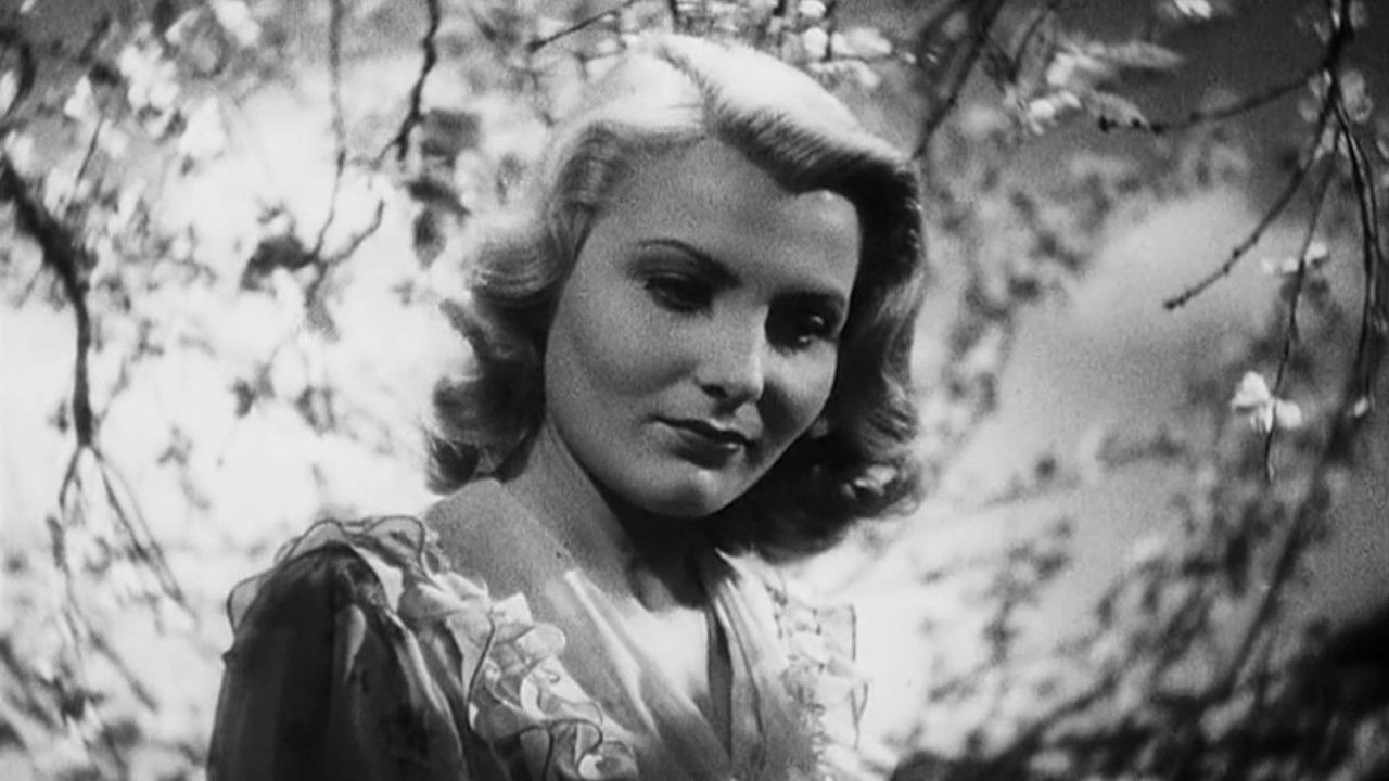 The Enchanted Day backdrop