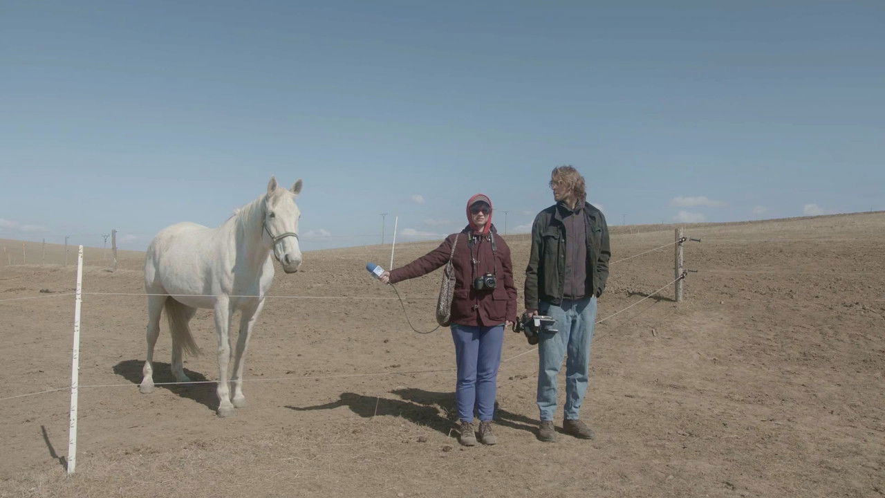 The Most Beautiful Corner in the World backdrop
