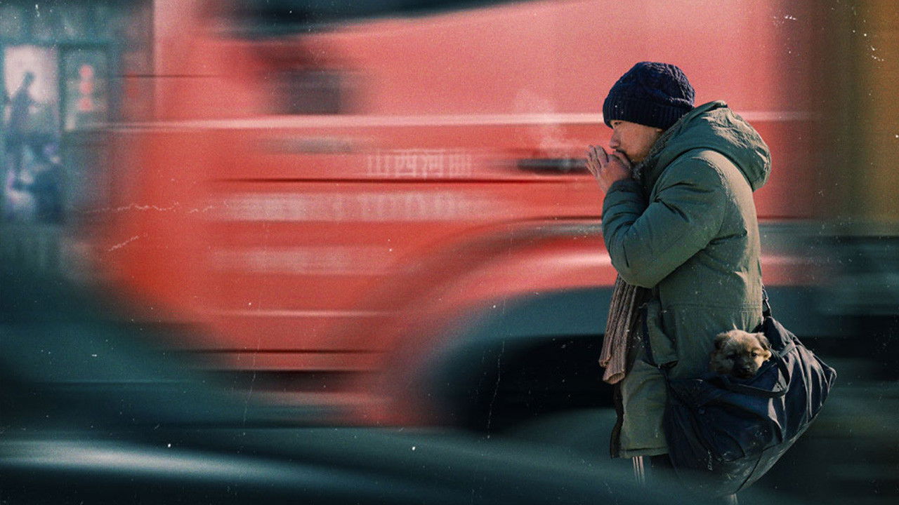 Night Falls backdrop