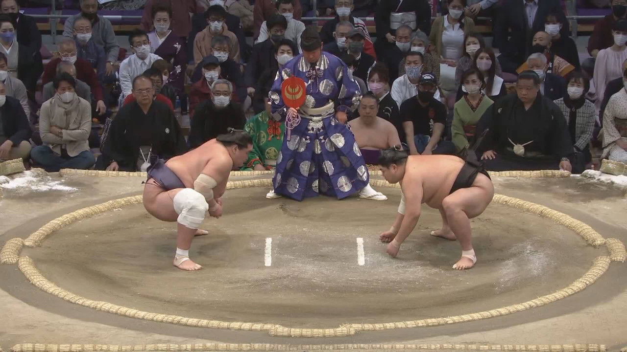 Grand Sumo Dosukoi Ken backdrop