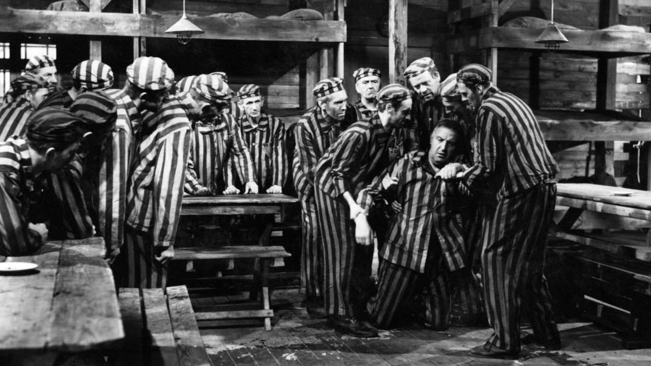 Vicious Circle backdrop