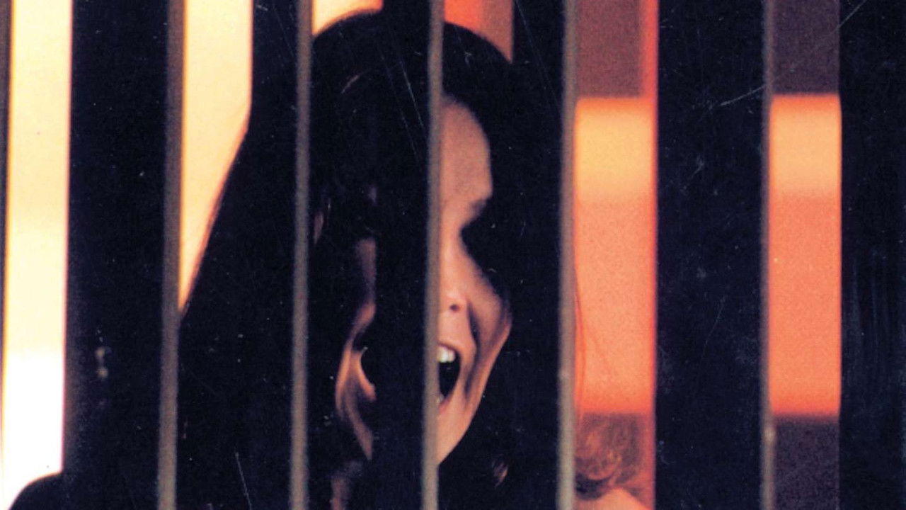 Dark Friday backdrop