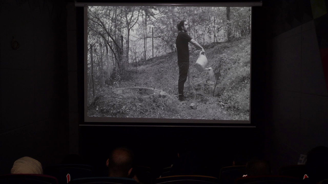 Magic in cinema backdrop