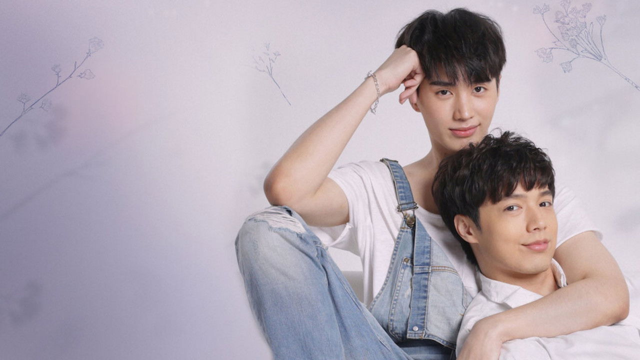 The Miracle of Teddy Bear backdrop