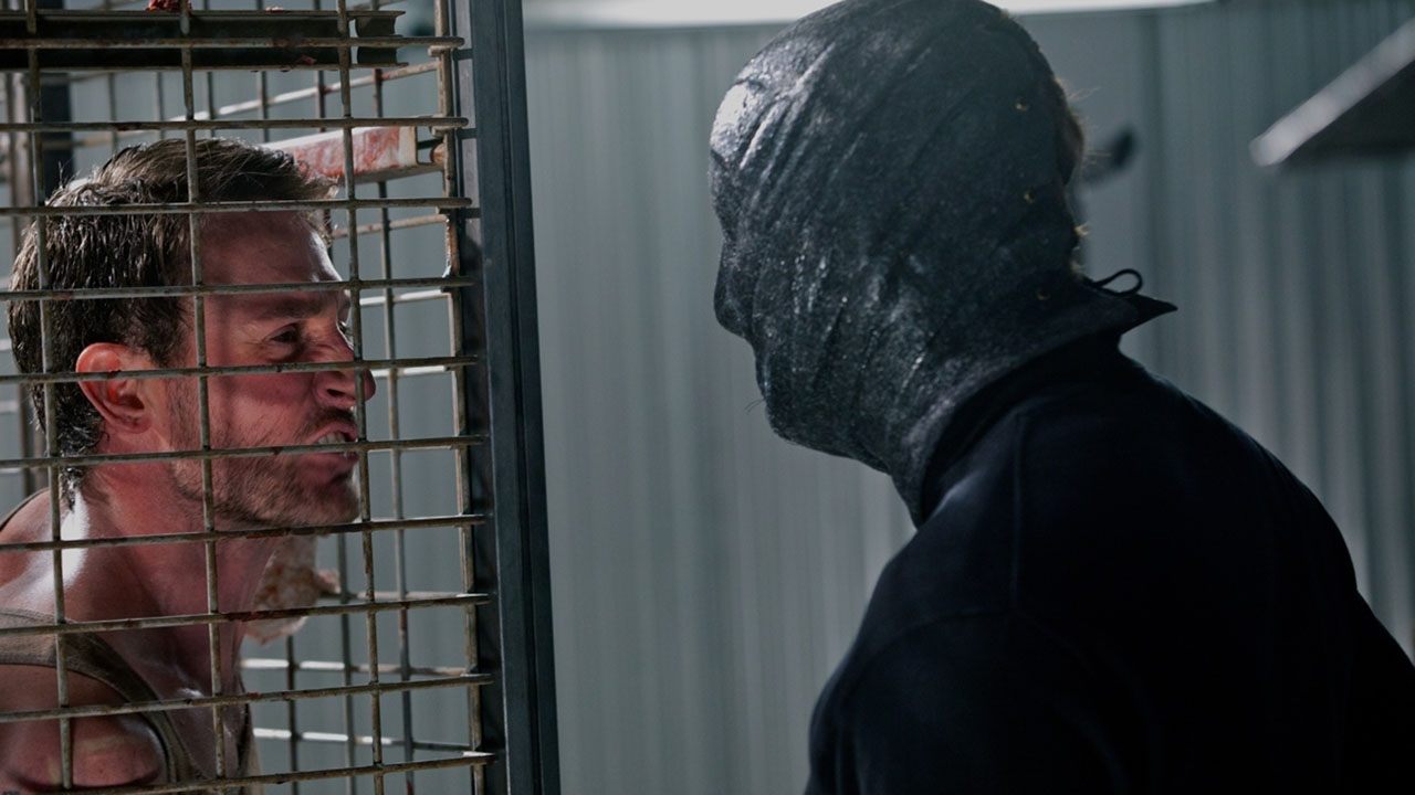 The Collection backdrop